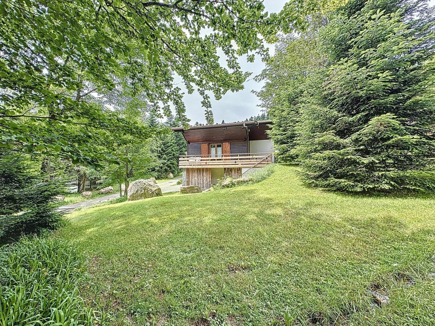 Le Chalet Des Belles Roches, La Bresse Hohneck Villa Exteriör bild